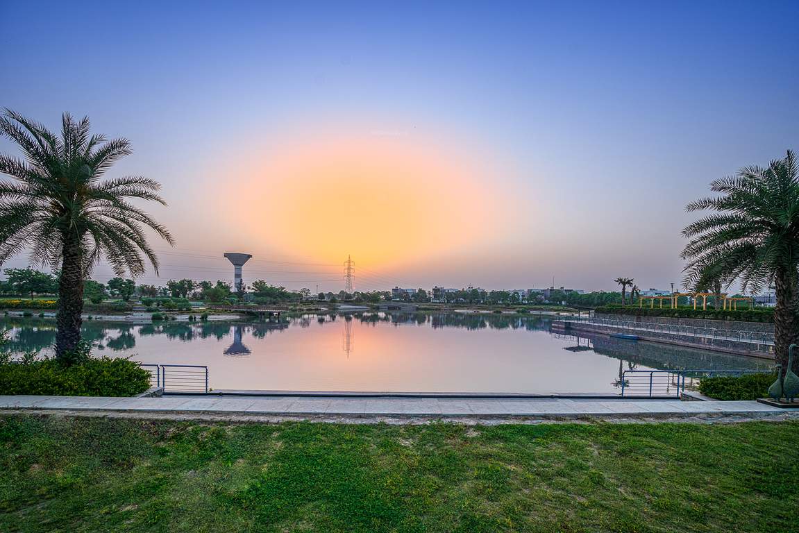 dream city ludhiana Others