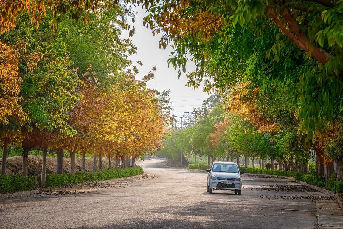 dream city ludhiana Others