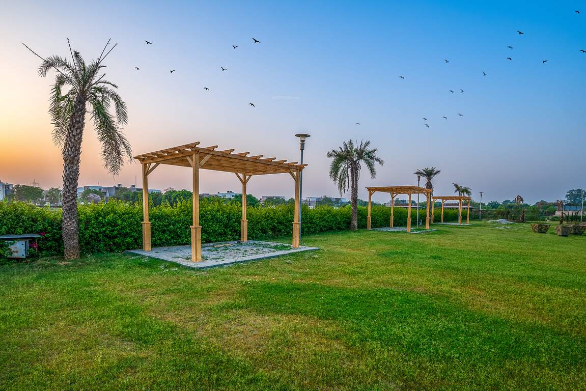 dream city ludhiana Others