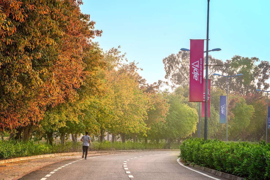 dream city ludhiana Others