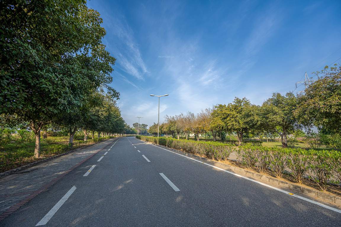 dream city ludhiana Others