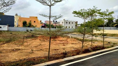  amethyst-haven Landscape Garden and Tree Planting