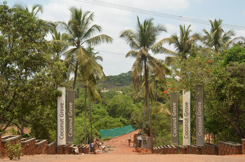  coconut grove Elevation