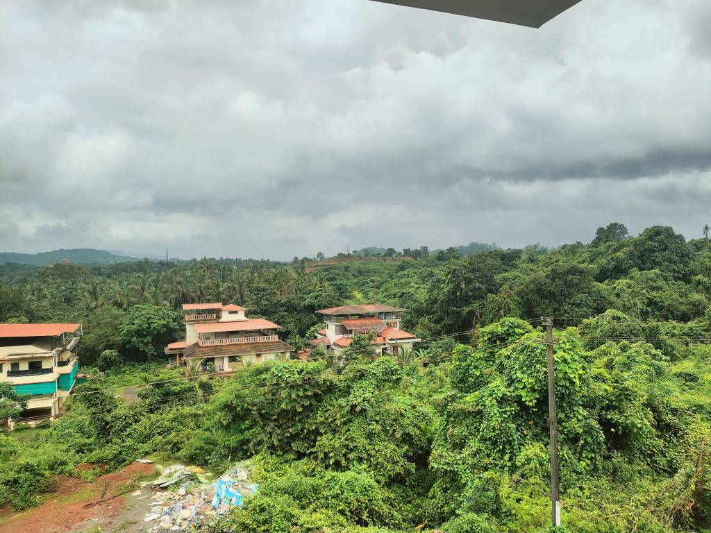  coconut grove Elevation