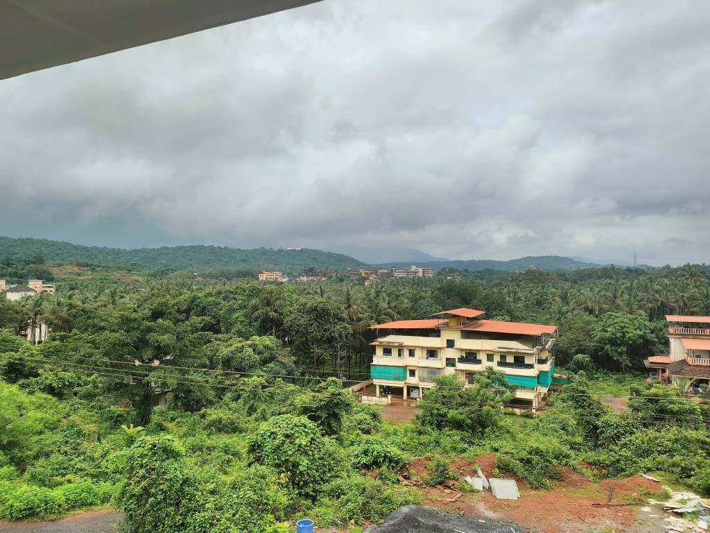  coconut grove Elevation