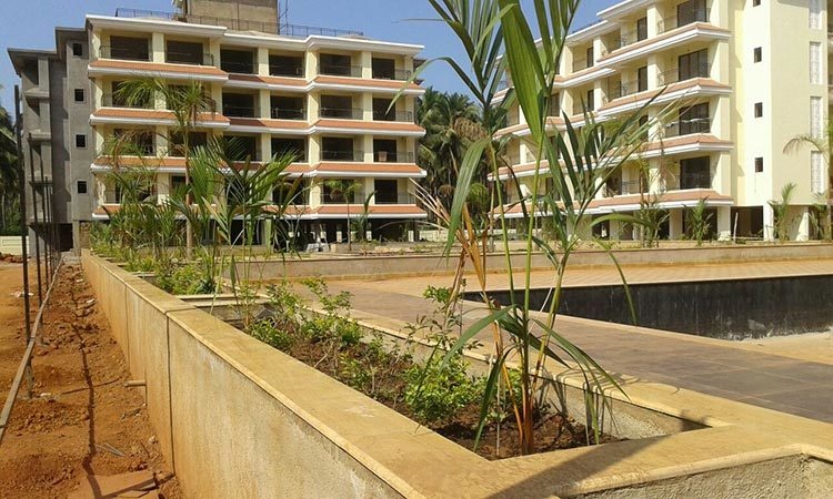  coconut grove Others