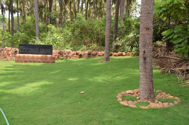  coconut grove Others