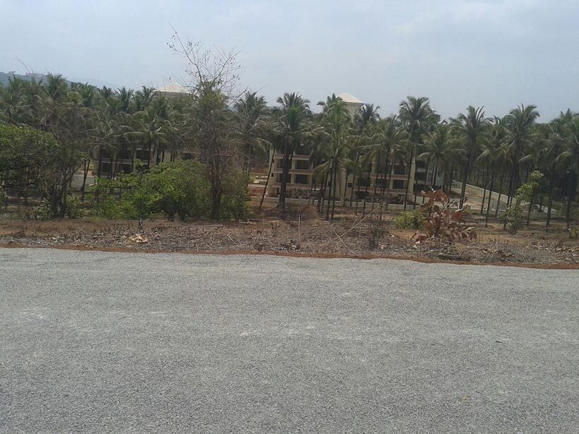  coconut grove Others