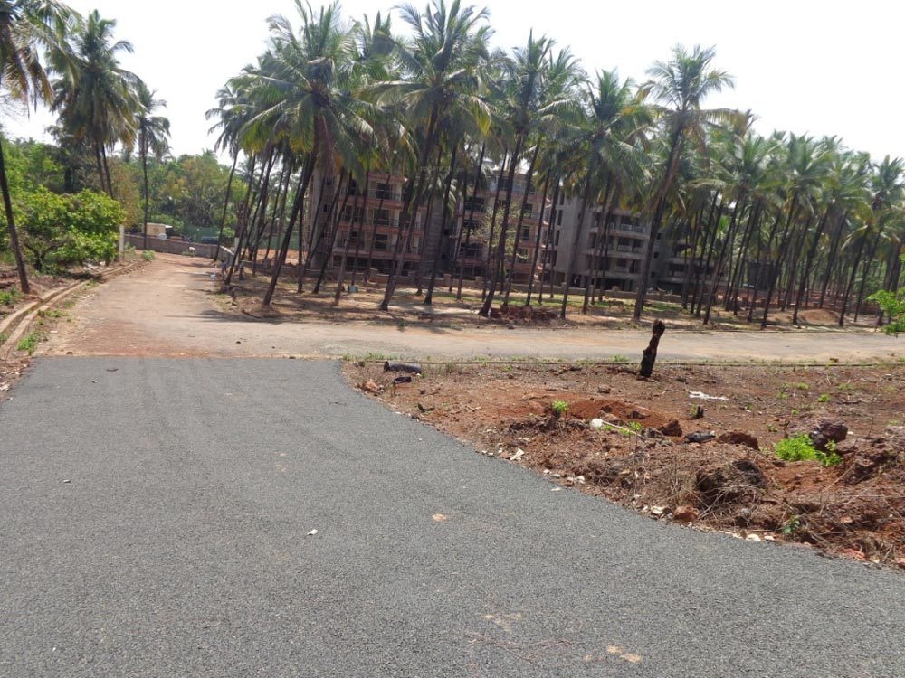  coconut grove Others