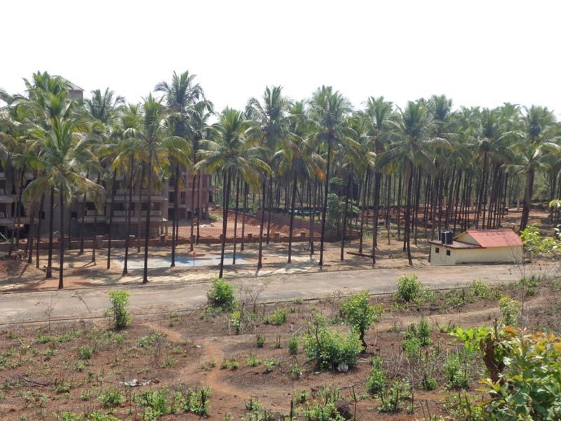  coconut grove Others