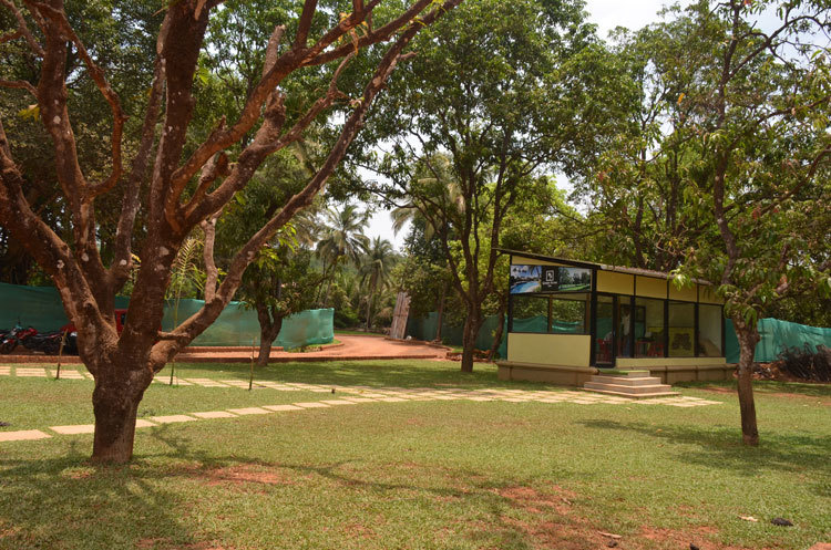  coconut grove Others