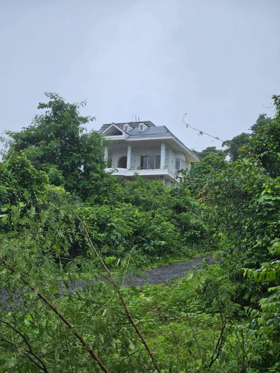  coconut grove Others