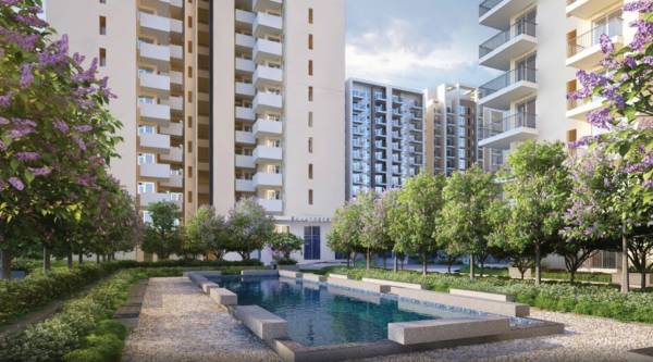 Swimming Pool la-vida-phase-2 Swimming Pool