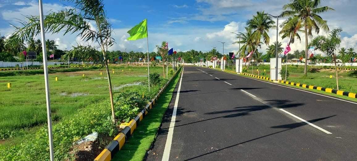  serasa singhvi garden Plot