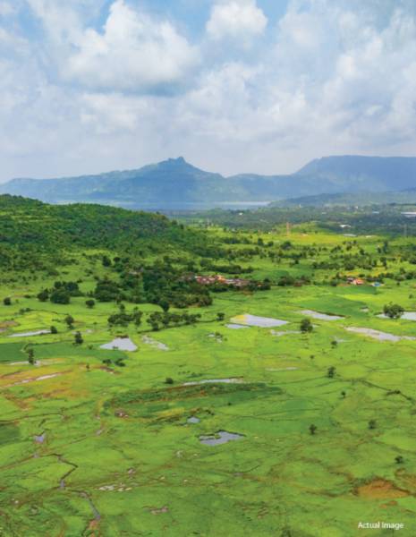  aria-phase-c Elevation