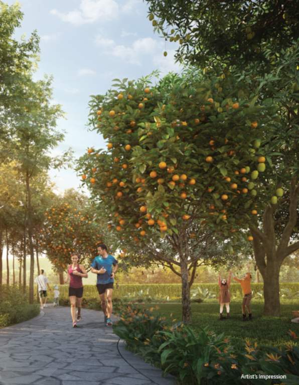  aria phase c Jogging Track