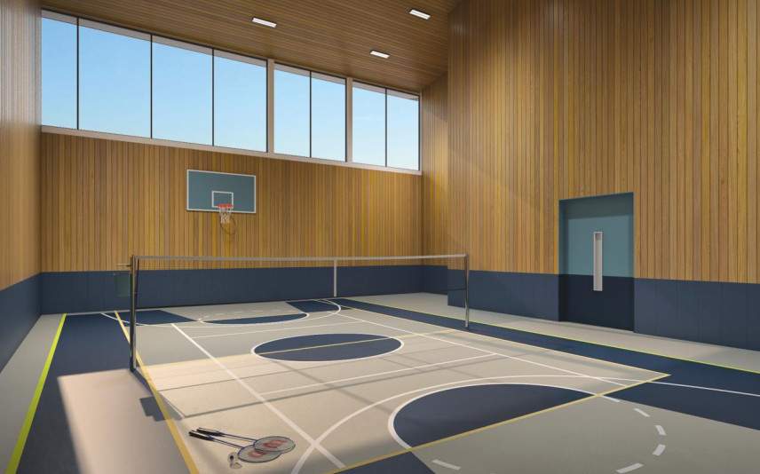  serenity Basketball Court