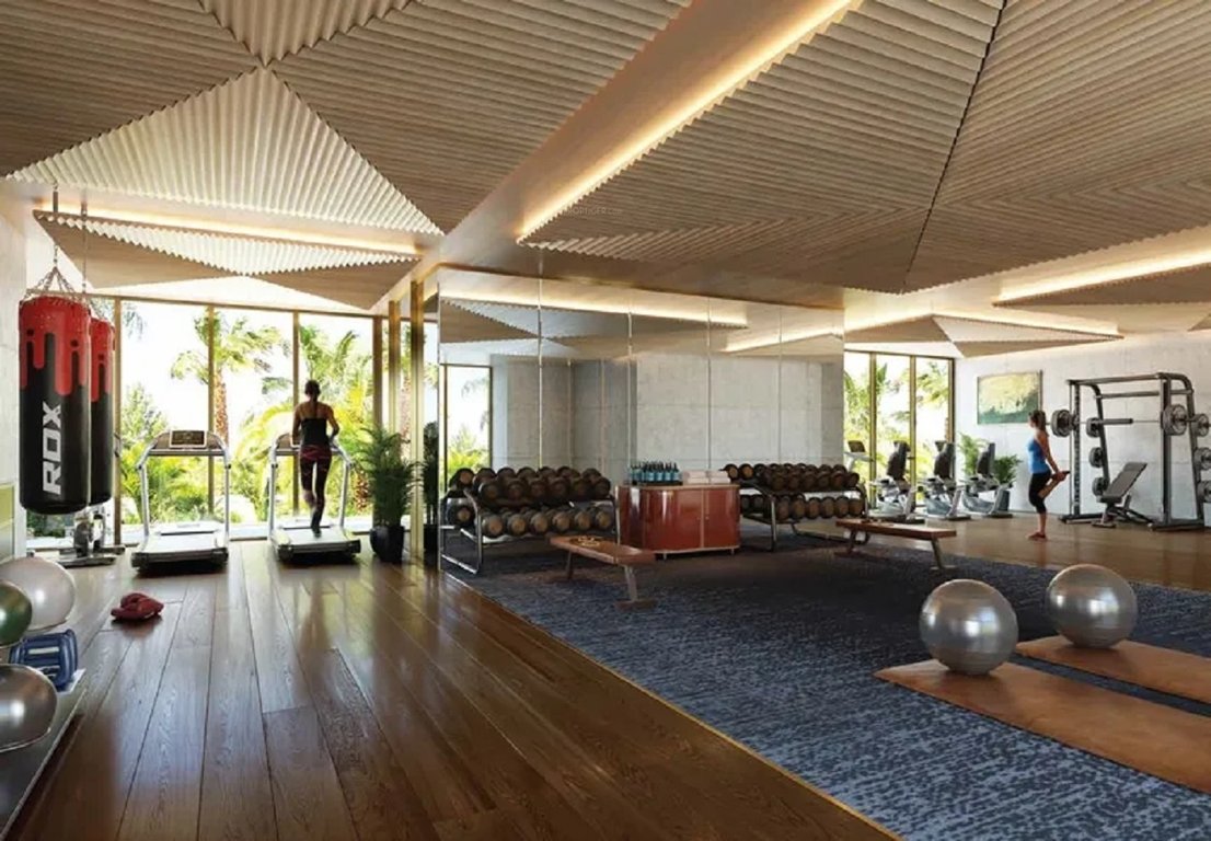  aranya ahan 2 Gymnasium