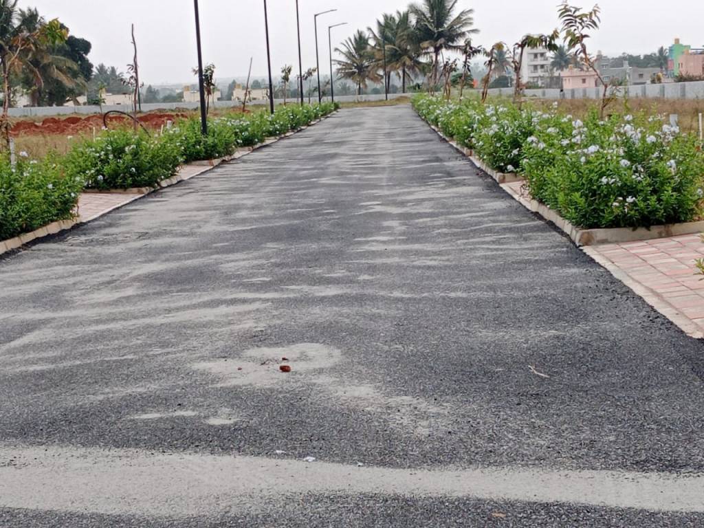  blue mango orchard Internal Roads & Footpaths