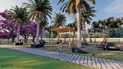  the-ark Landscape Garden and Tree Planting