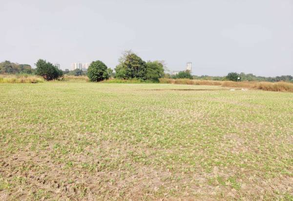  zamindar-plots-chirle Elevation