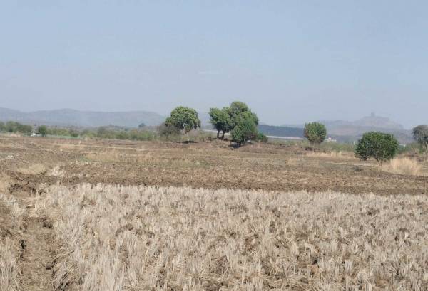  zamindar-plots-chirle Plot