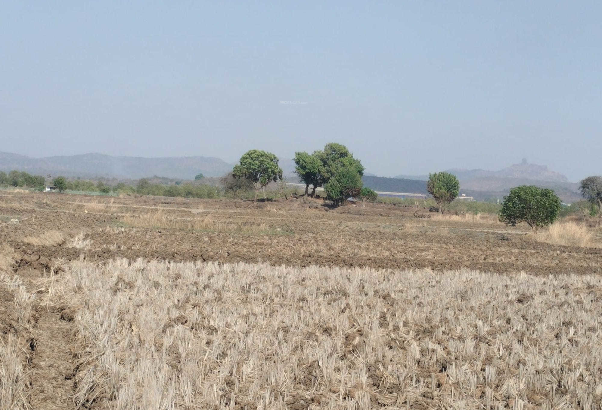 Zamindar Plots Chirle In Chirle Mumbai Price Location Map Floor 