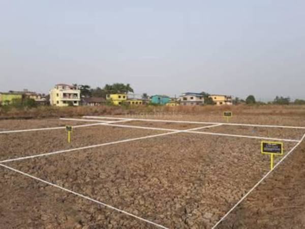  zamindar-dream-town-pvt-ltd Plot