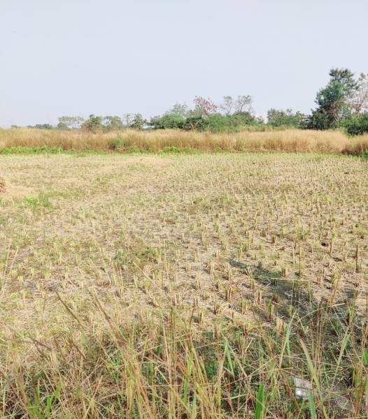  zamindar-plots-in-sarde Elevation