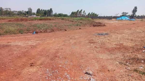  kns-athena-phase-ii Elevation