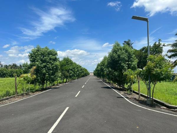  saraswathi-nagar Others