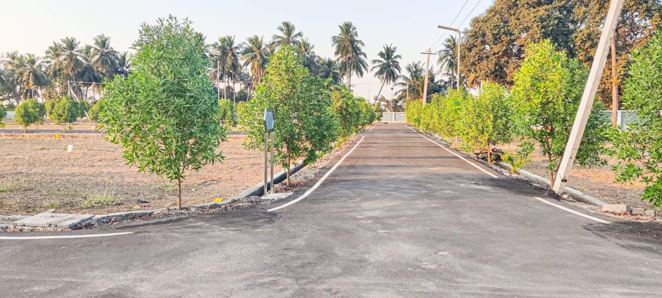  saraswathi nagar Plot