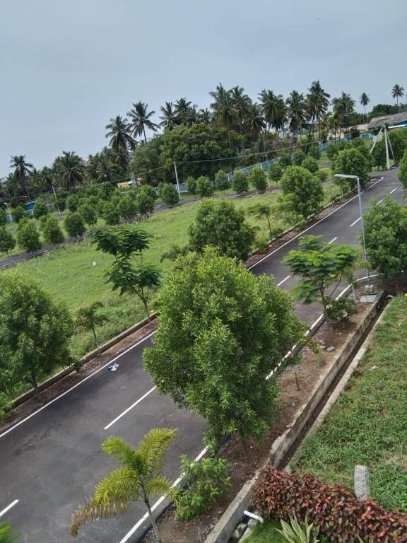  saraswathi nagar Plot