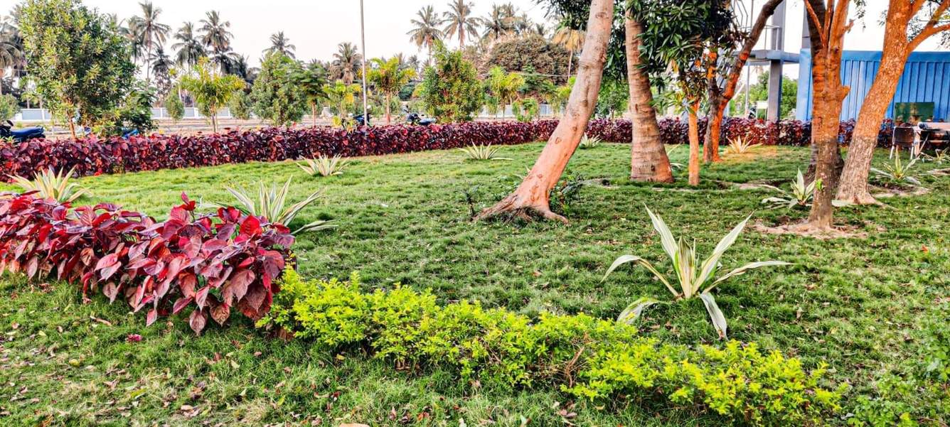  saraswathi nagar Plot