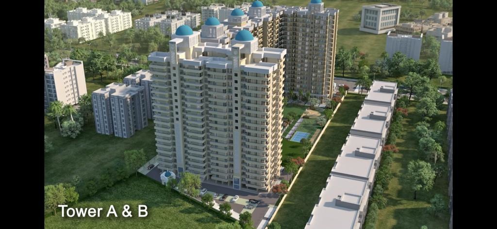  aigin royal Elevation