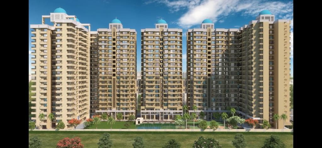  aigin royal Elevation