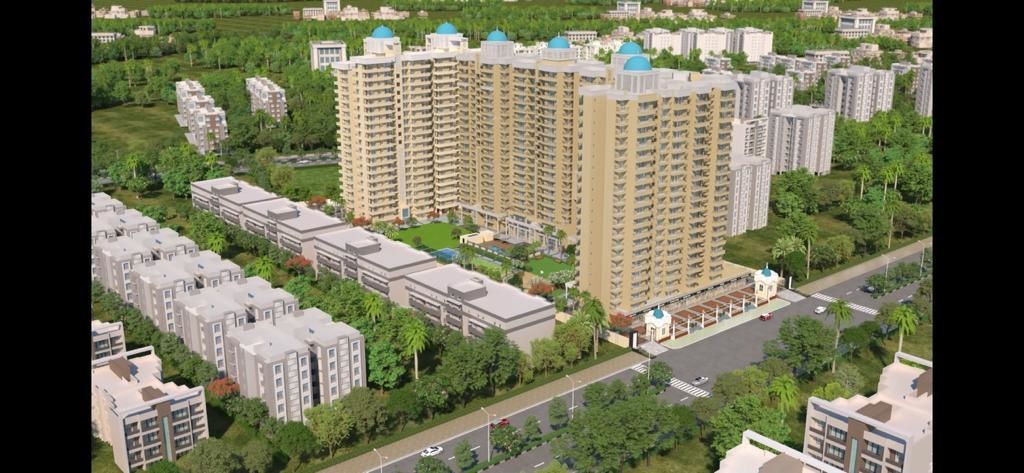  aigin royal Elevation