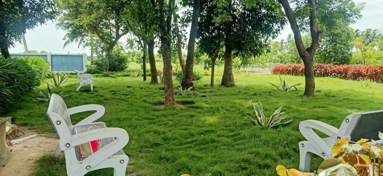 premier anand nagar Landscape Garden and Tree Planting