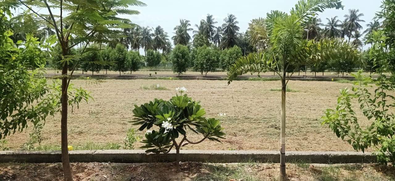  premier anand nagar Plot