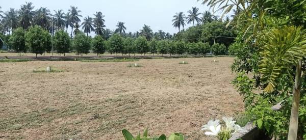  premier-anand-nagar Plot