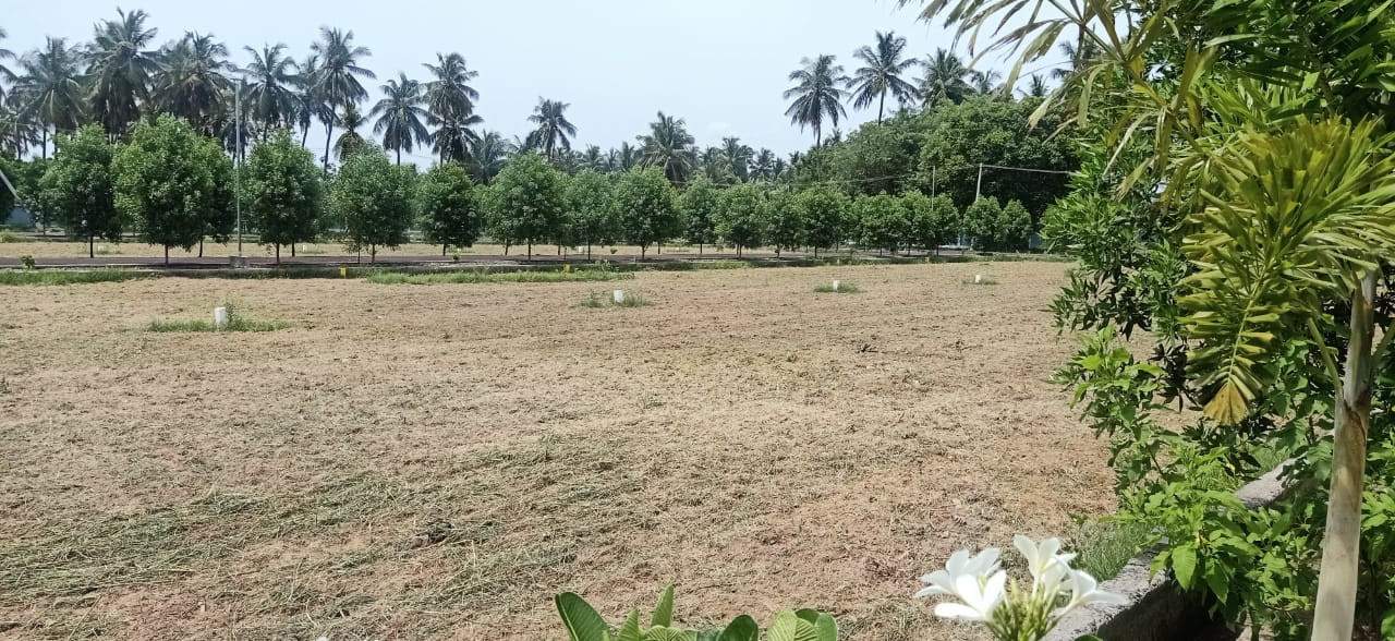  premier anand nagar Plot