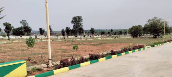 Elevation aero-serene Elevation