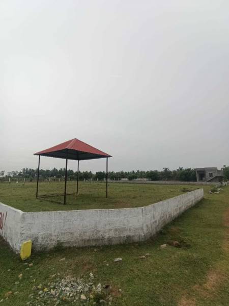  wonderla-garden Plot