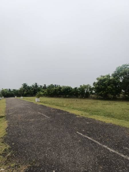  wonderla-garden Plot