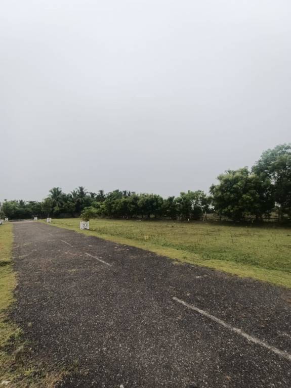  wonderla garden Plot