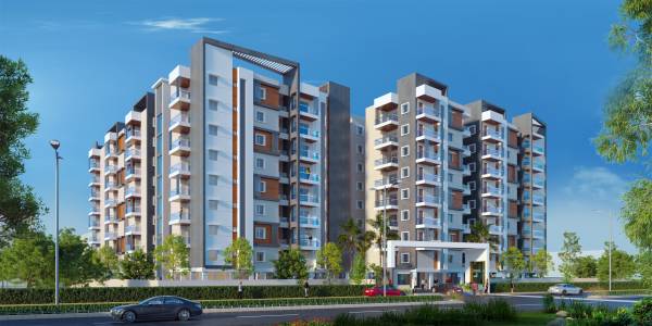  palmyra-meadows Elevation