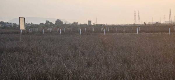  plots-in-ranjanpada Elevation