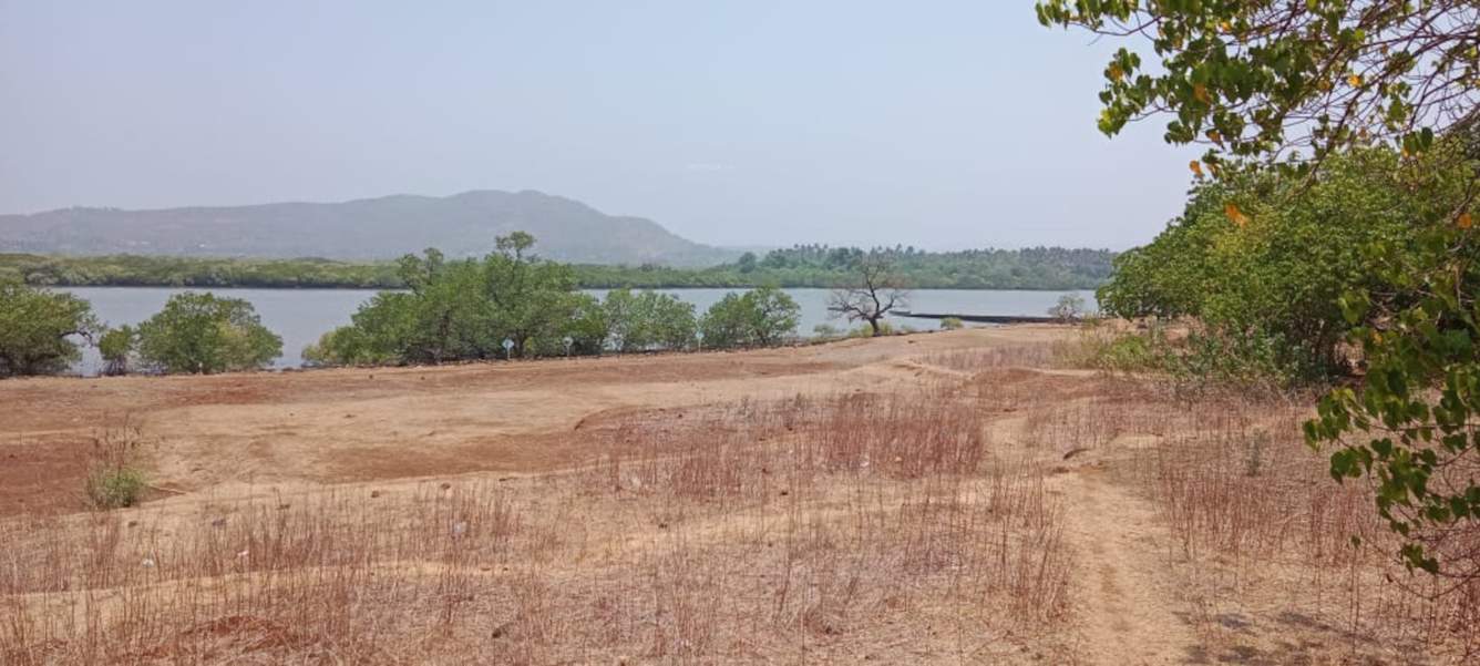  plots shrivardhan Plot