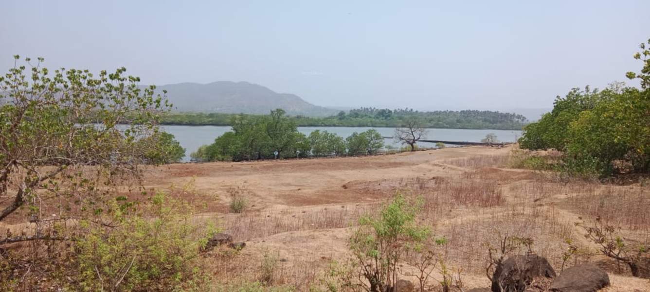  plots shrivardhan Plot
