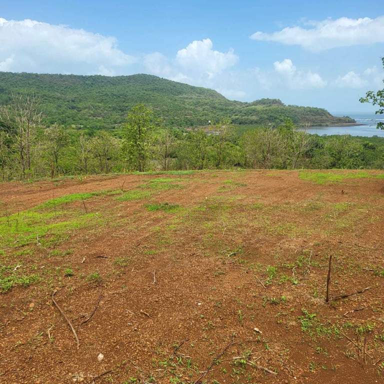  plots shrivardhan Plot